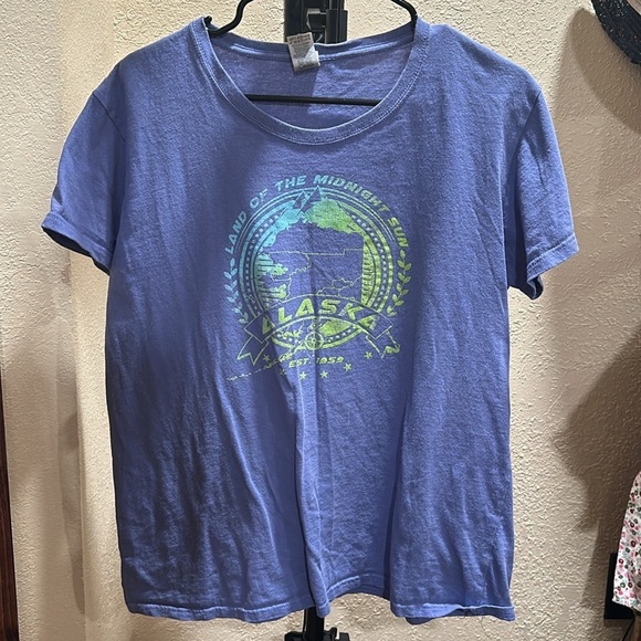 EUC GILDAN t-shirt with front graphic purple color Sz XL - Picture 1 of 4